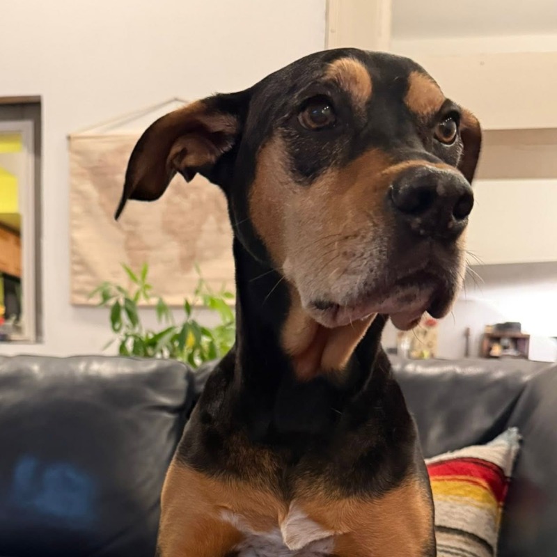 Sally Mae